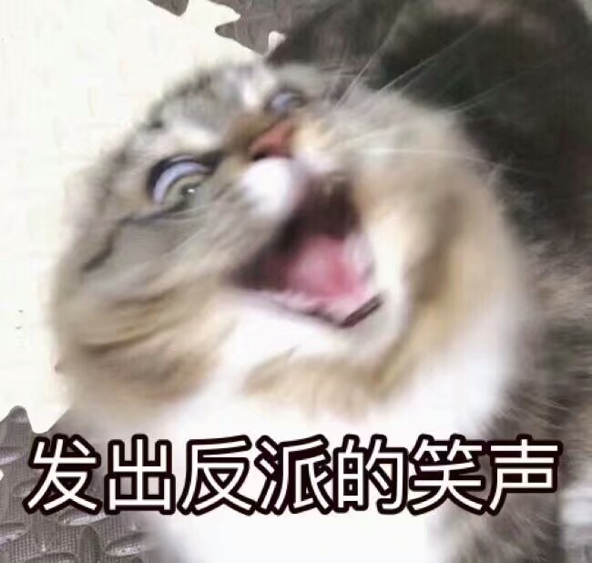 猫咪表情包
可爱 