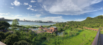 樱花
蓝天
白云
风景