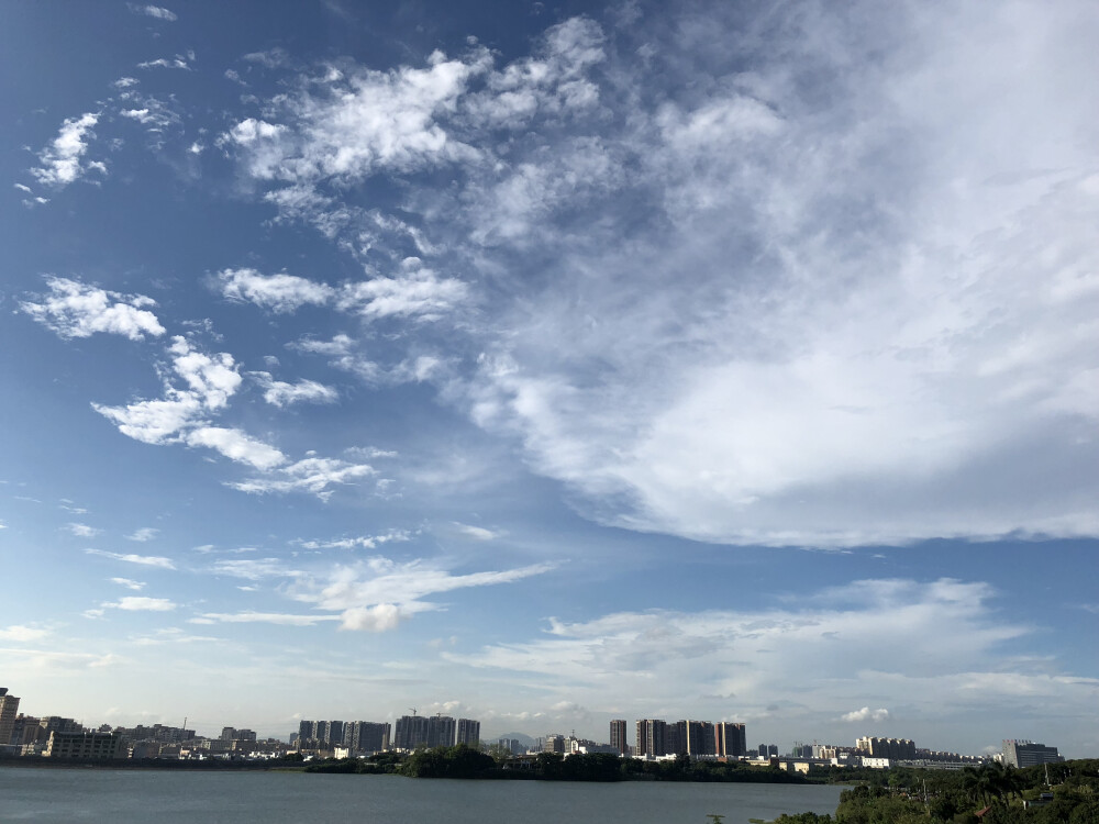 樱花
蓝天
白云
风景