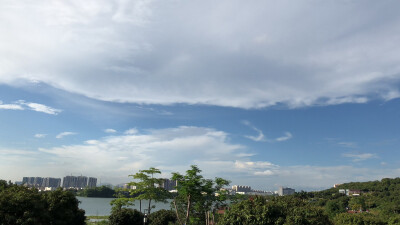 樱花
蓝天
白云
风景