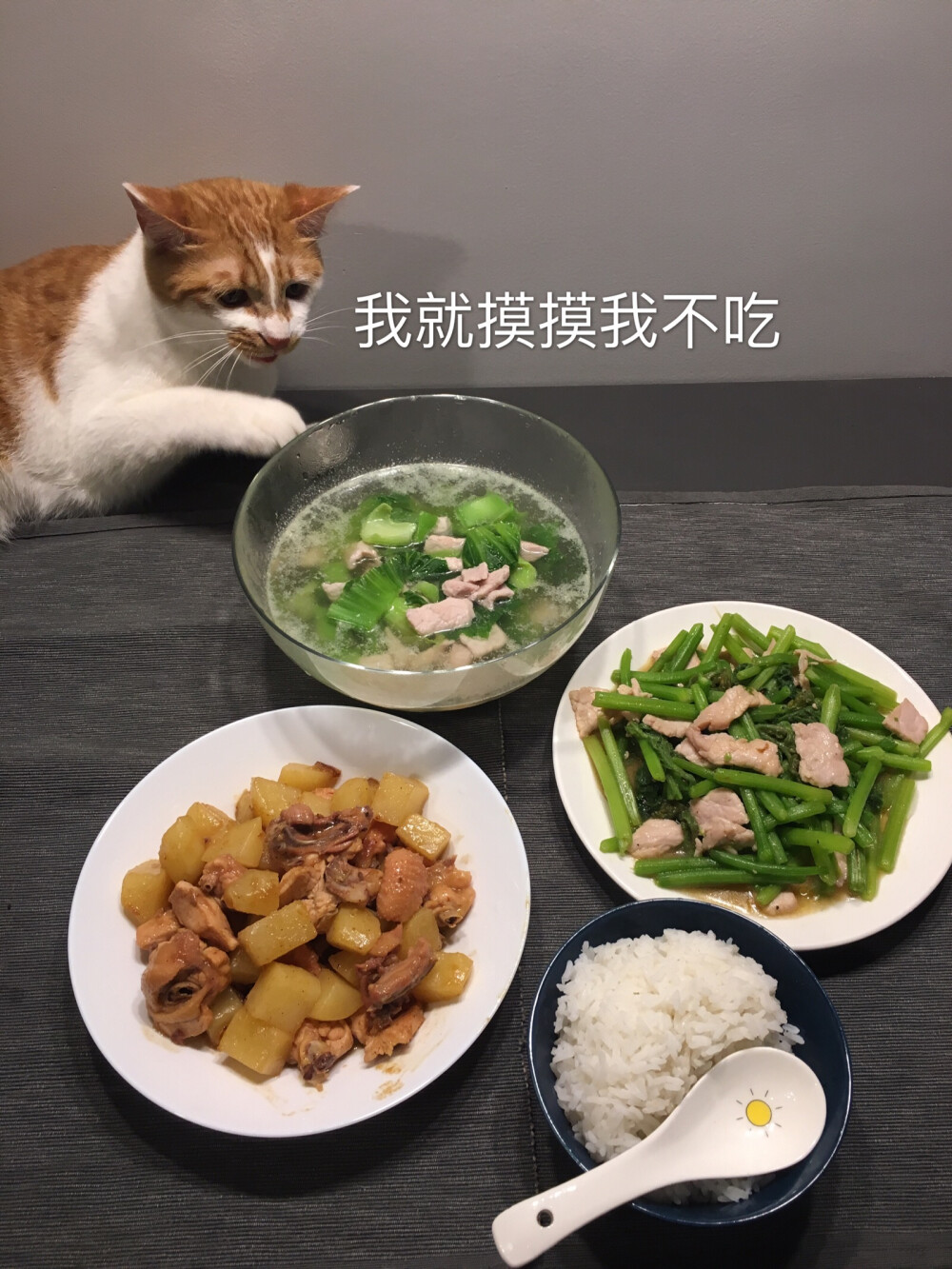 20180509土豆焖鸡+炒南瓜苗+芥菜汤+丑猫