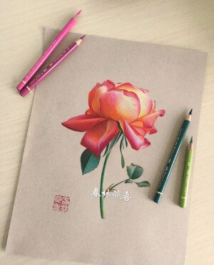 彩铅花