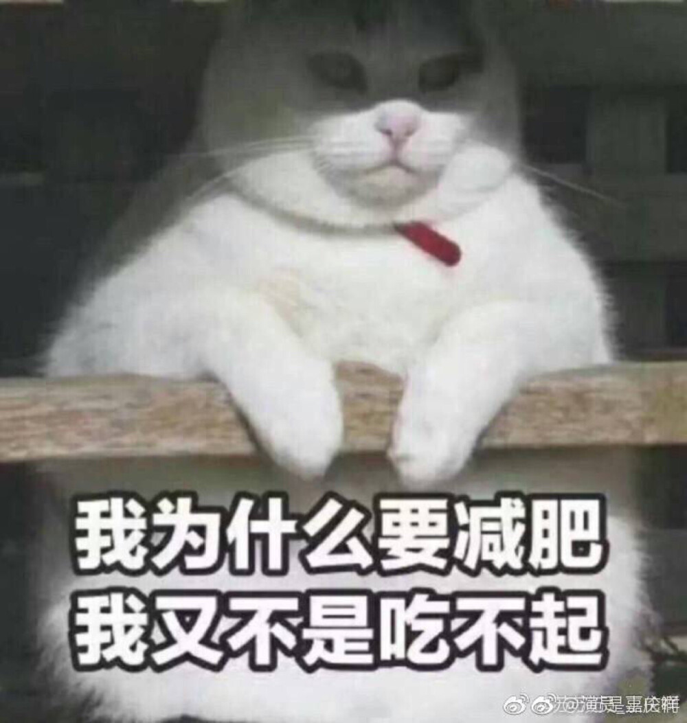 表情包