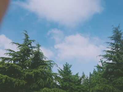 今天的天空，微薄的滤镜