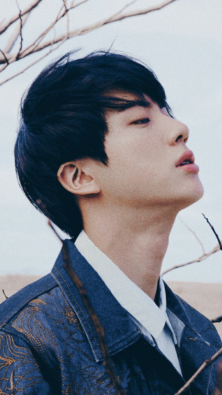 防弹少年团 BTS 金硕珍 JIN