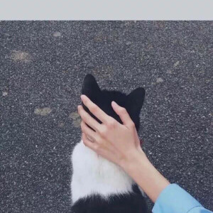 小孩也不懂爱 关注 手控壁纸 赞 评论 收藏 更多 发布至专辑 壁纸背景