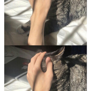 关注 手控壁纸 赞 评论 收藏 更多 发布至专辑 壁纸背景 1199张图片