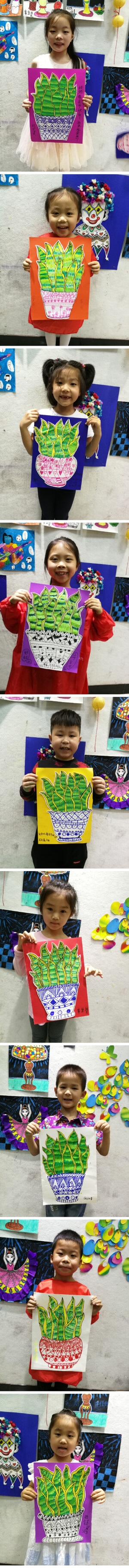 虎尾兰