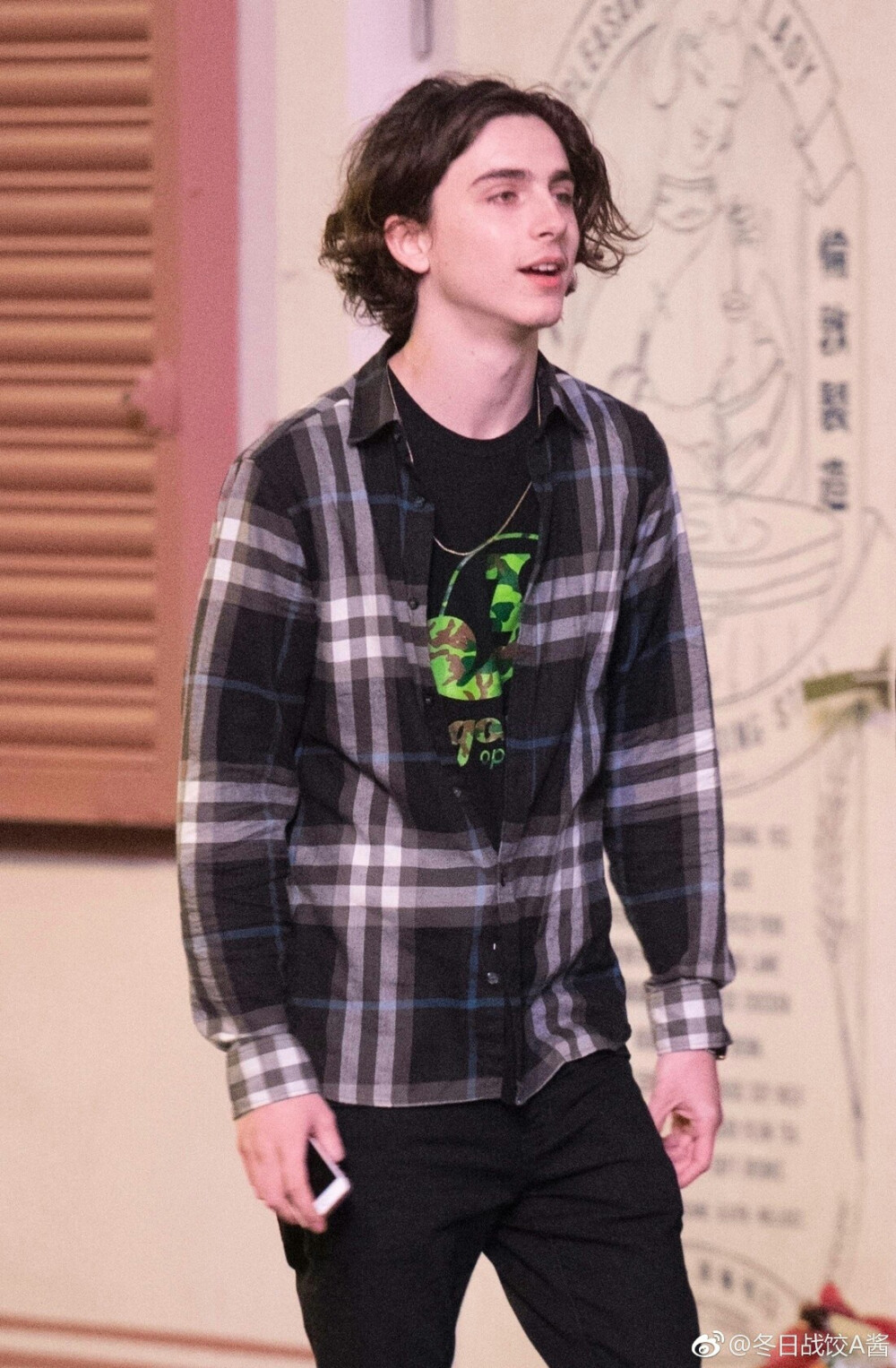 提莫西·查拉梅Timothée Chalamet（甜茶）