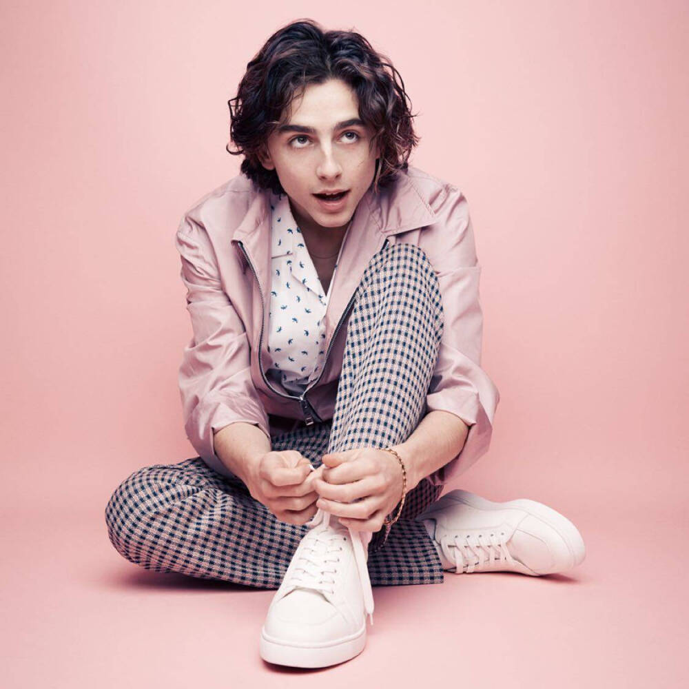 提莫西·查拉梅Timothée Chalamet（甜茶）