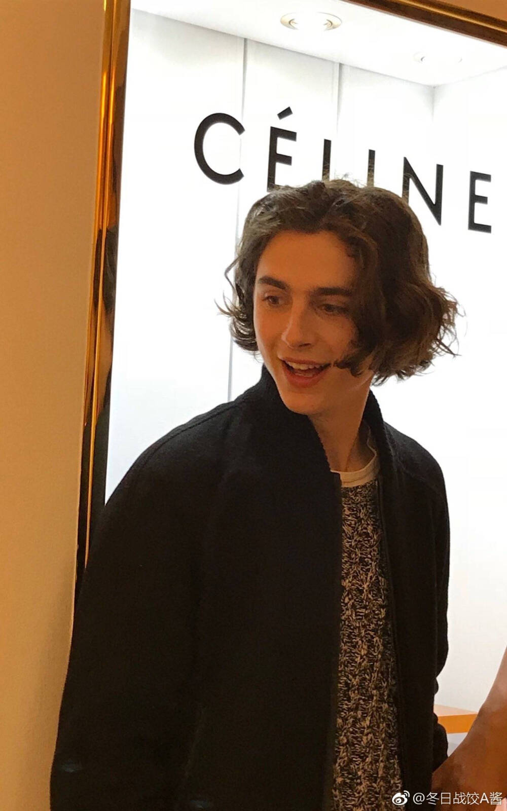 提莫西·查拉梅Timothée Chalamet（甜茶）