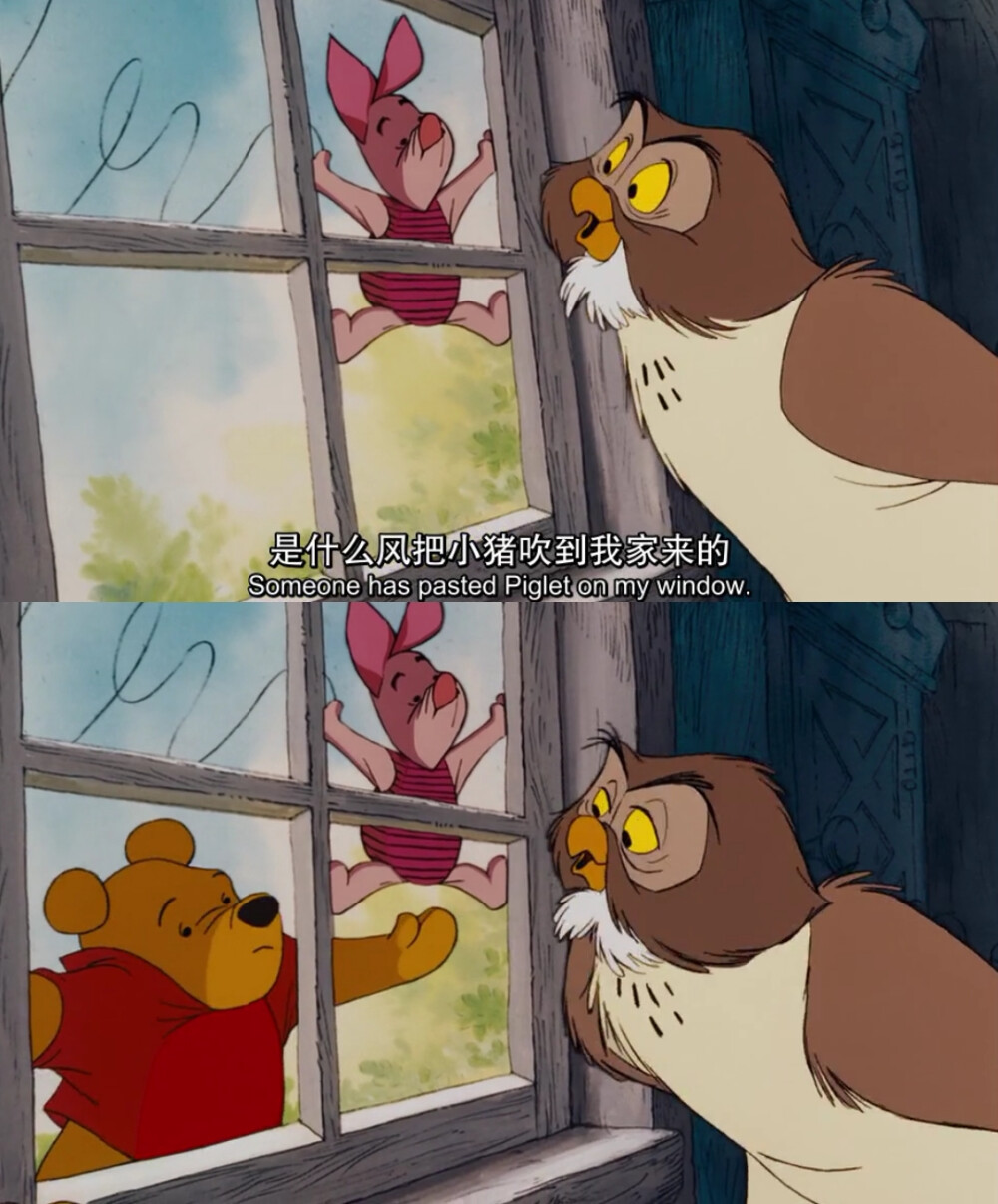 小熊维尼 pooh