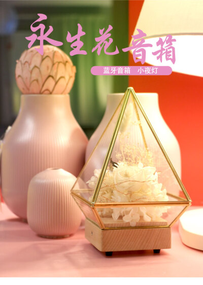 永生花蓝牙音箱
天然 永生花干花手工制作
原创设计主题造型
https://url.m.1688.com/QmJALAqH