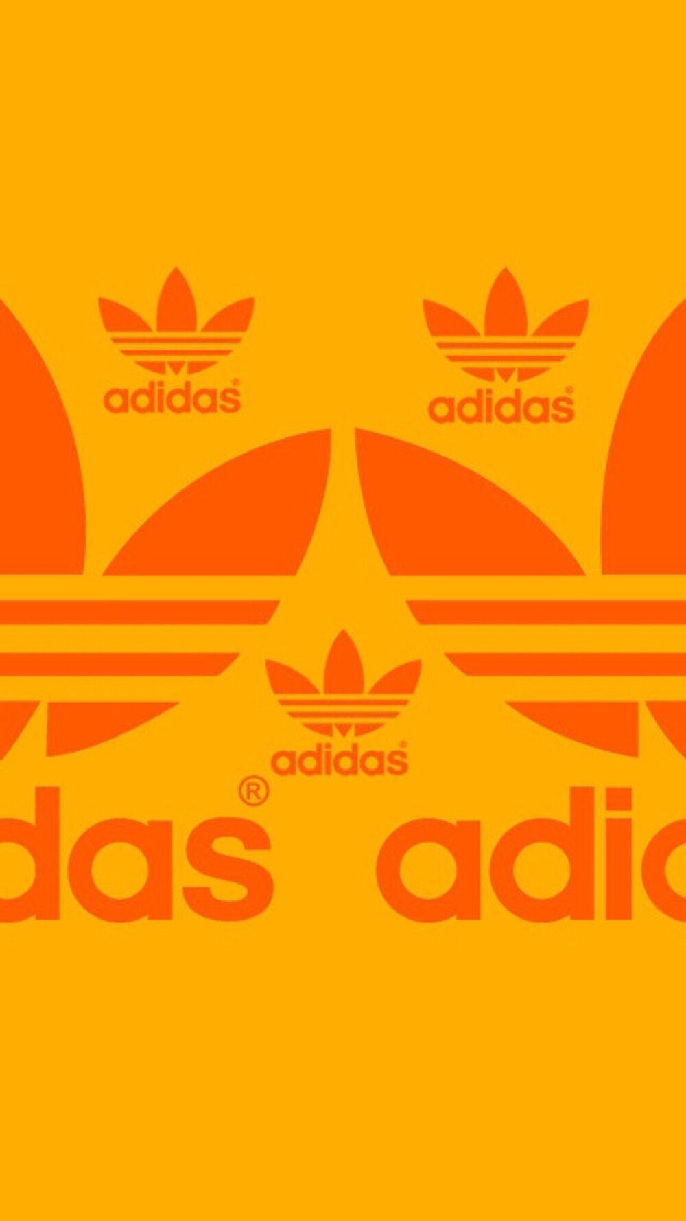 Pidan｜Adidas