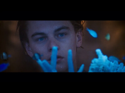 小李子。我在你眼里看见了蔚蓝大海。