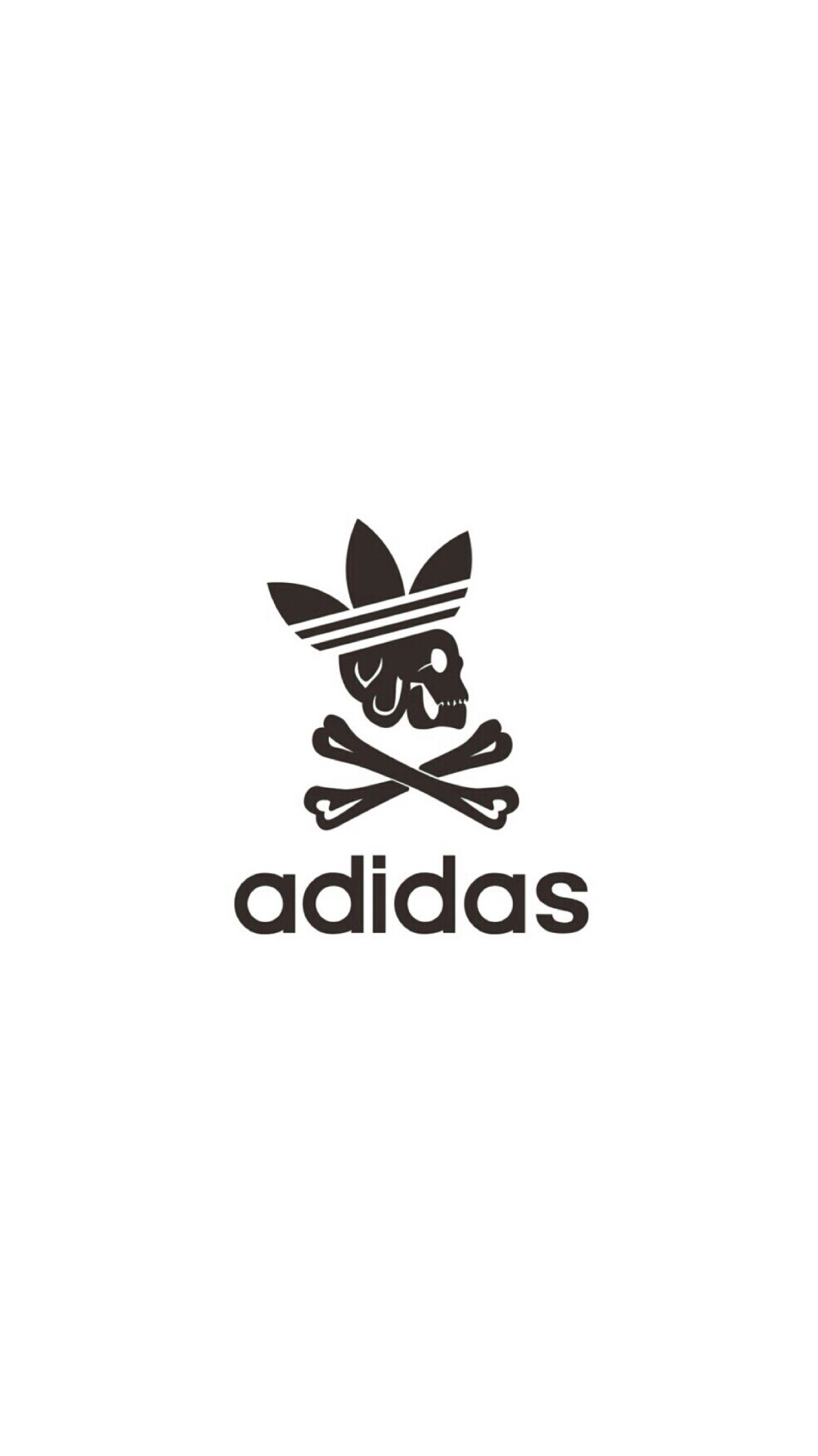 Pidan｜Adidas