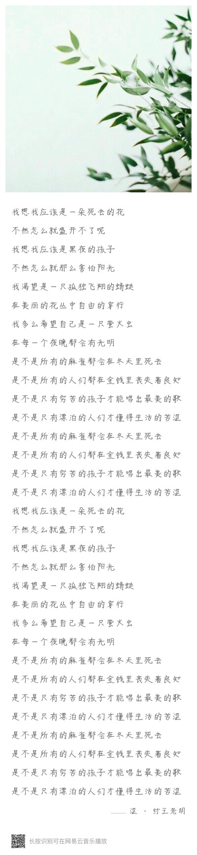 《涩》，纣王老胡.（第一次看成了 纣胡老王…）歌词充满了苦涩，又透着希望.