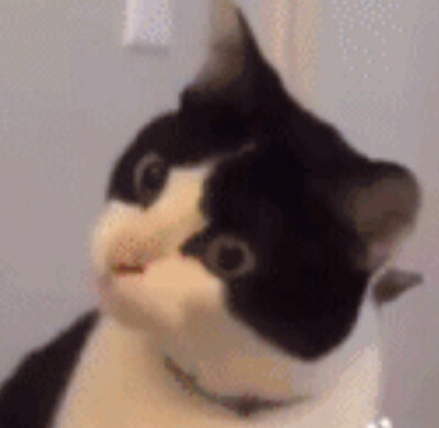 (๑● ·̭ ●๑) 晚安啊