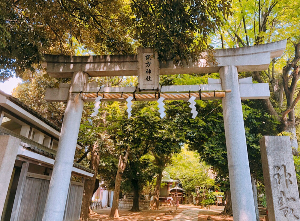 東京~我生活的地方。
微博：小白兔吐果酱。