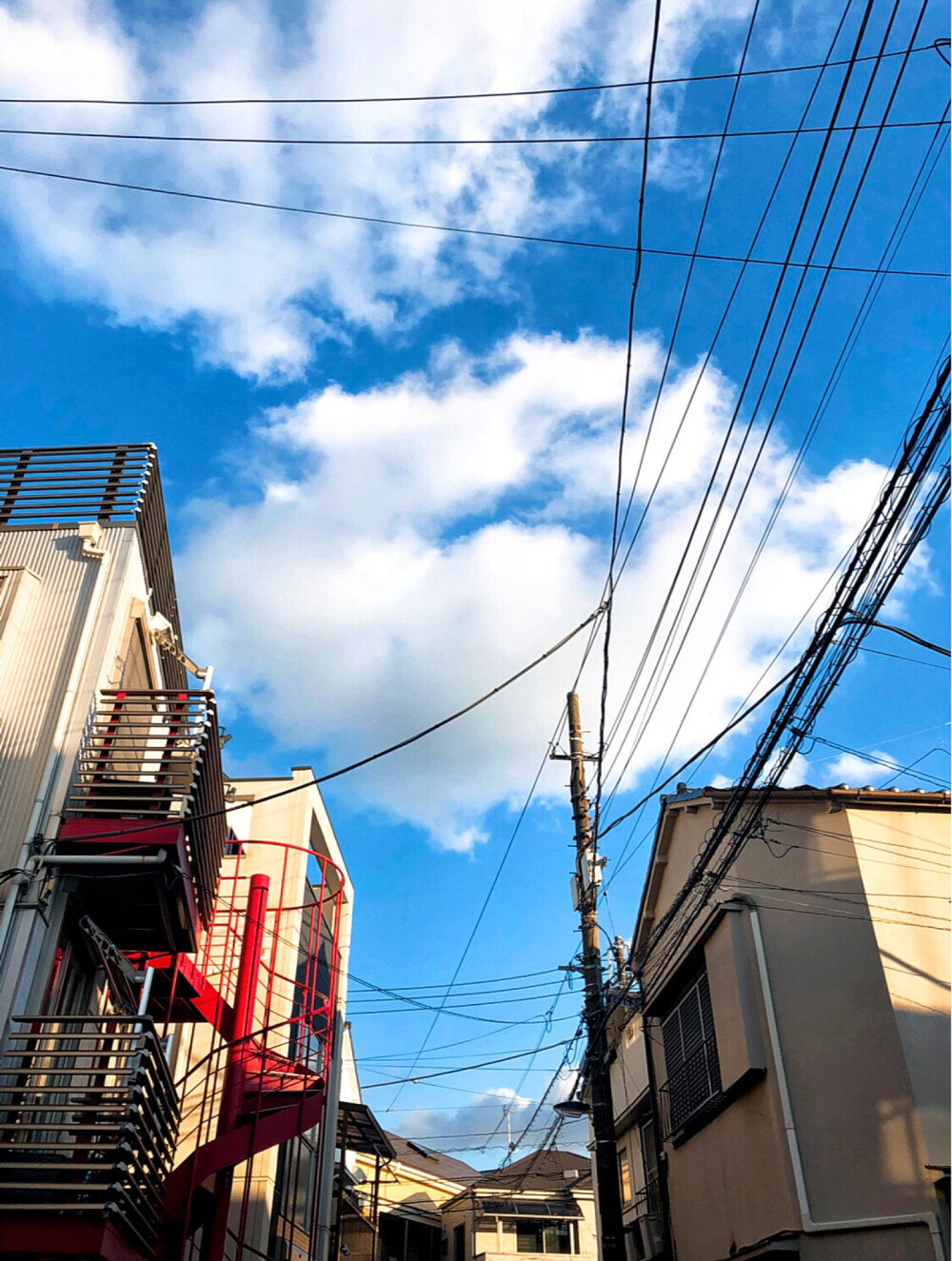 東京~我生活的地方。
微博：小白兔吐果酱。