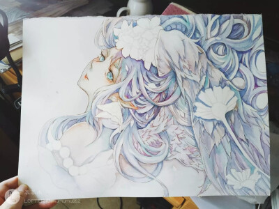 幕暮木手绘水彩