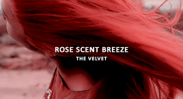 【Tumblr/喜欢收藏】Red+Velvet，裴珠泫（Irene）、姜涩琪（SeulGi）、孙承欢（Wendy）、朴秀荣（Joy）、金艺琳（Yeri）
