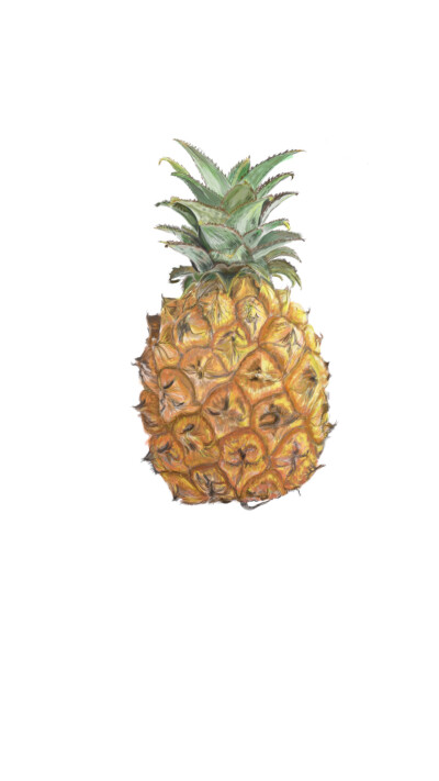 ps+wacom，12h，pineapple 