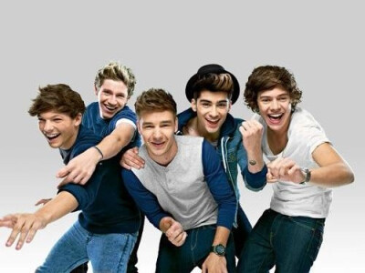 单向组合（One Direction，简称1D）是一支来自英国与爱尔兰的男子组合，由路易斯·汤姆林森（Louis Tomlinson）、哈里·斯泰尔斯（Harry Styles）、利亚姆·佩恩（Liam Payne）与奈尔·霍兰（Niall Horan）四位成员组成…