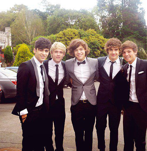 单向组合（One Direction，简称1D）是一支来自英国与爱尔兰的男子组合，由路易斯·汤姆林森（Louis Tomlinson）、哈里·斯泰尔斯（Harry Styles）、利亚姆·佩恩（Liam Payne）与奈尔·霍兰（Niall Horan）四位成员组成。2010年，One Direction通过英国选秀节目《X Factor》组成 。2012年，One Direction发行第一张专辑《Up All Night》和第二张专辑《Take Me Home》 。8月，在伦敦奥运会闭幕式上，One Direction演唱了代表作《What Makes You Beautiful》