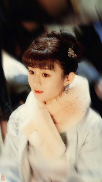 赵丽颖 壁纸 盛明兰