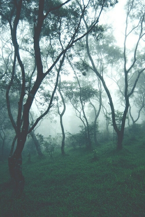 风景 平铺 卡通 绿色 海 星空 城市 森林 壁纸