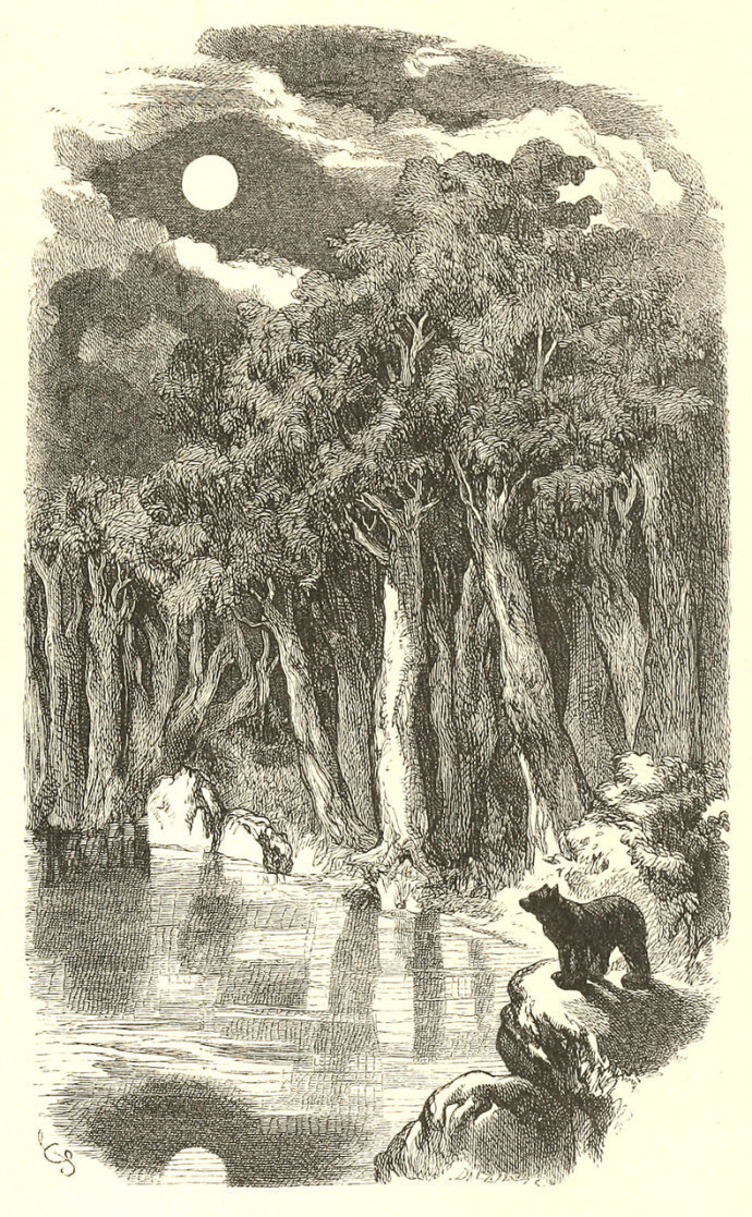 《朗费罗诗选/The poetical works of Henry Wadsworth Longfellow》
作者：亨利?沃兹沃思?朗费罗（Henry Wadsworth Longfellow，1807-1882）
插图：约翰?吉尔伯特（John Gilbert，1817-1897）