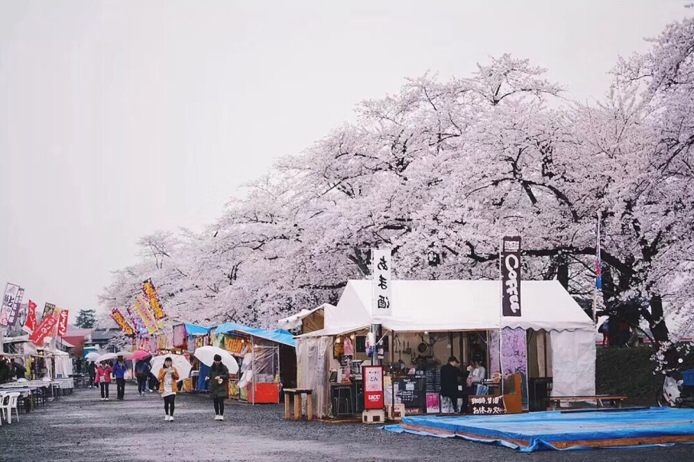 日本