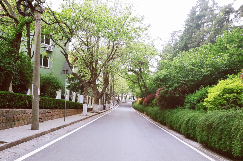 2018年，5月。青岛。龙山路。