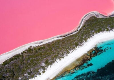 澳洲 粉红湖