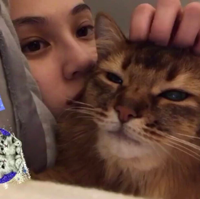 水原希子 堆糖 美图壁纸兴趣社区