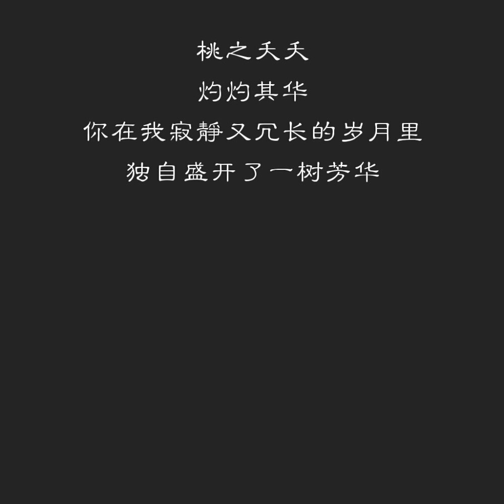 与大神JQ的日子