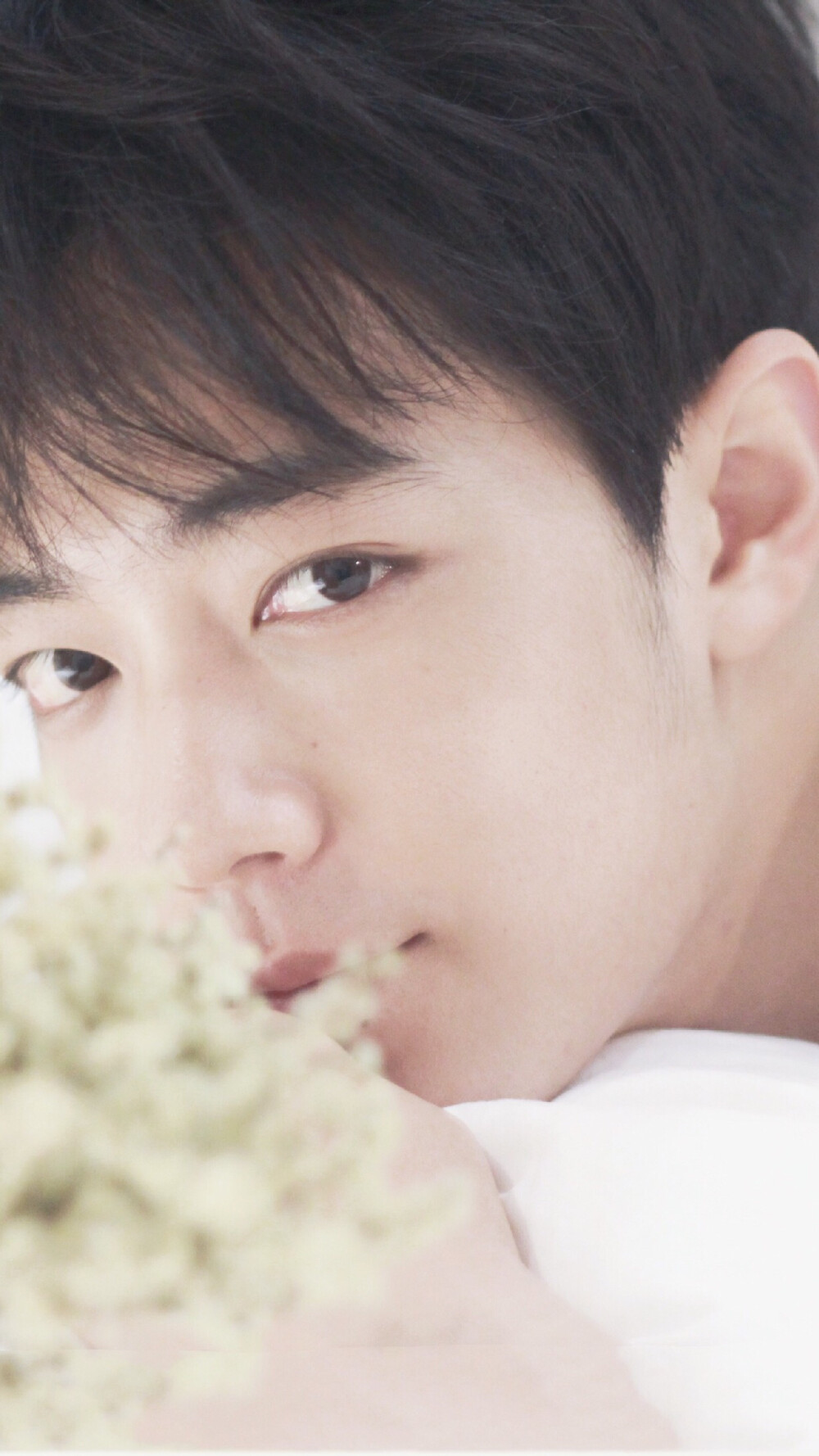 肖战 趁着新男友还没被更多人发现前赶紧放口袋里