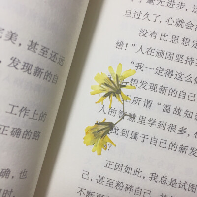 偶然发现的压花