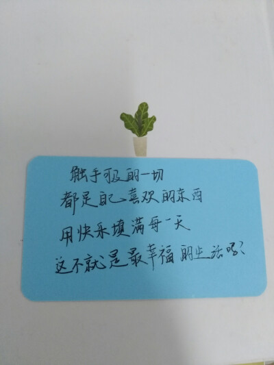 手写，备忘录，心情