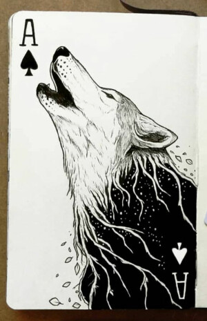 黑白插画
