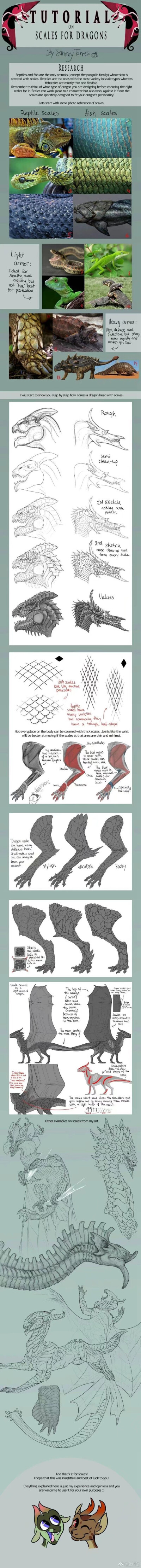 关于各种西方龙的细节and整体画法