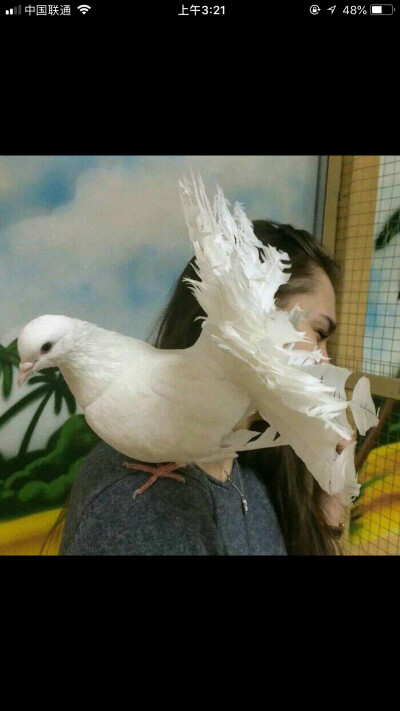 一个奇葩且特立独行的人所仅有的私人空间