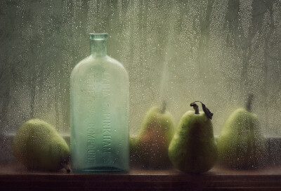 Amy Weiss美丽的静物摄影