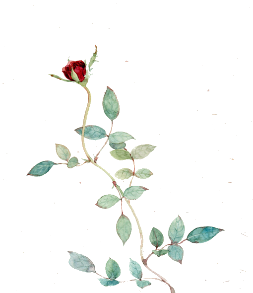 免扣素材~自制渣图（图片来自网络.侵删）