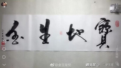 金玉龙悦书法作品