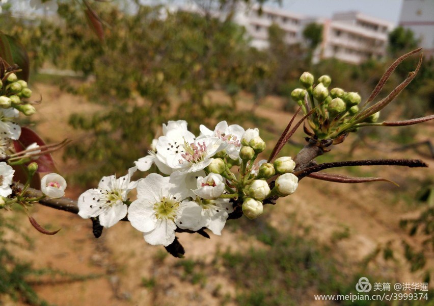 学校