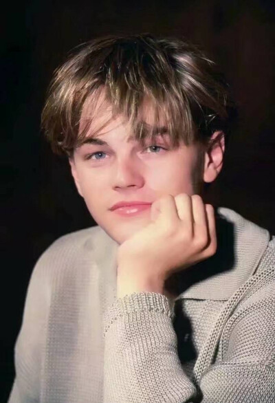 小李子
Leonardo DiCaprio