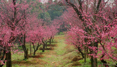 风景美图
