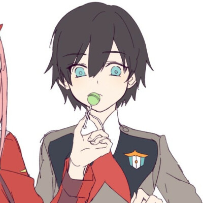 DARLINGintheFRANXX 情头